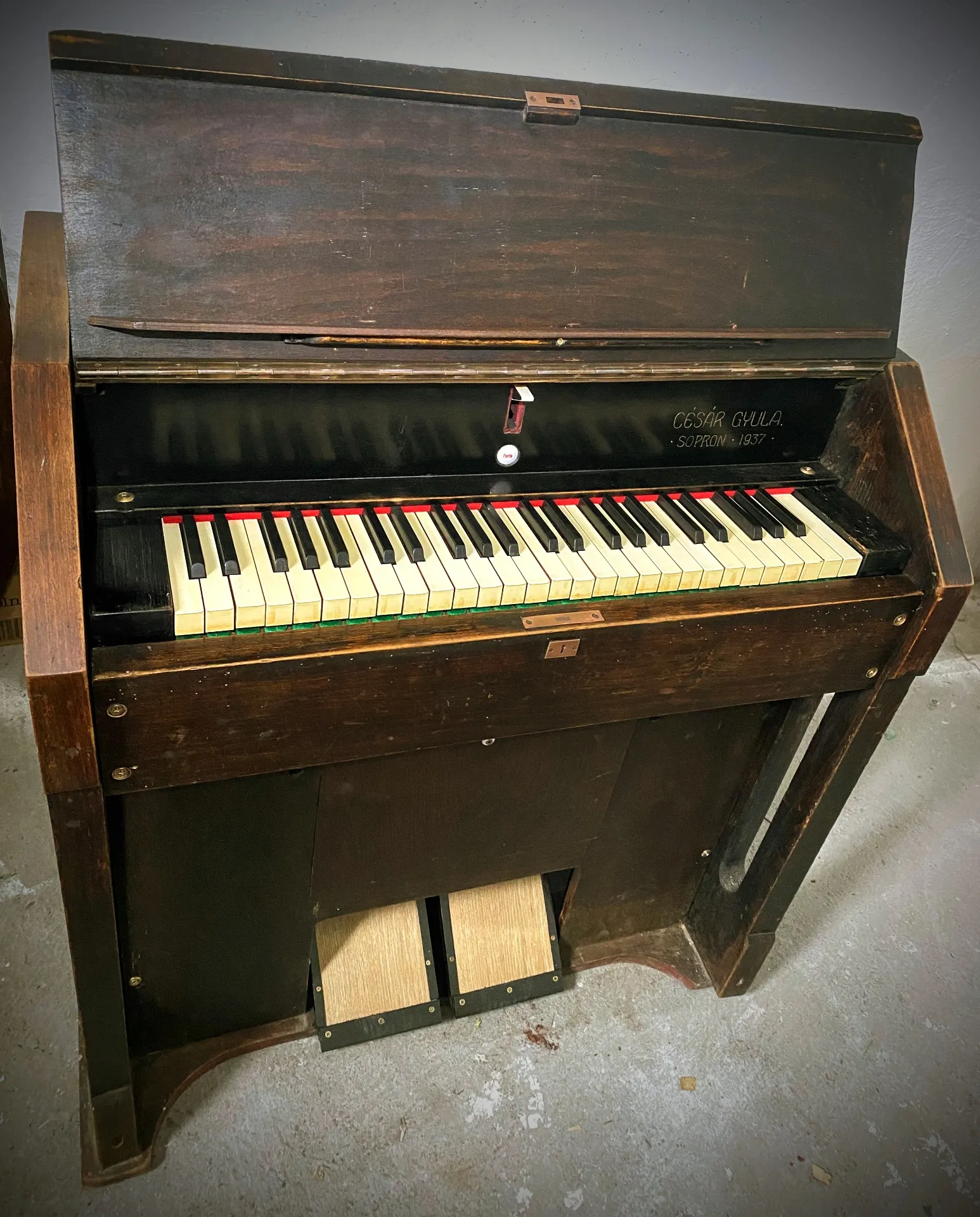 Harmonium by Gyula Césár